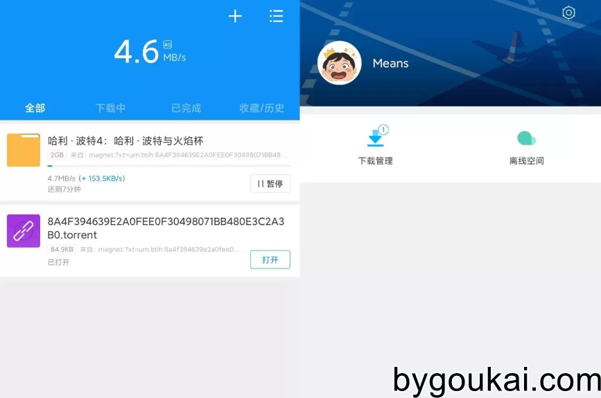 图片[2]-迅雷VIP版去广告解锁，限速解除的无限速版-朝晞小屋