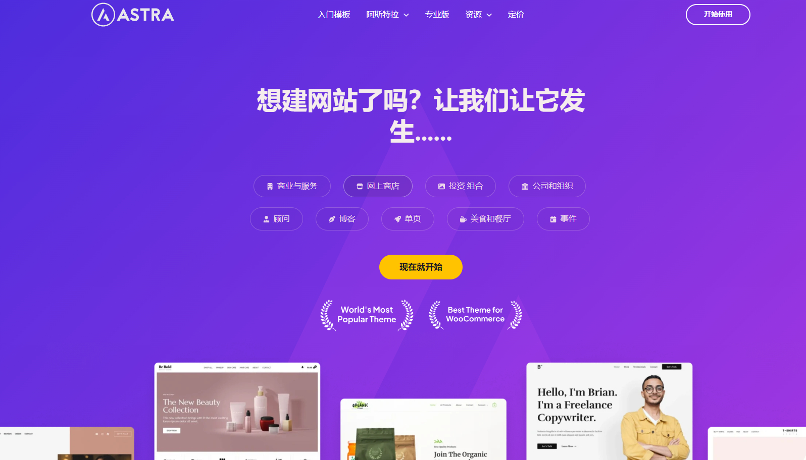 图片[2]-Astra独立站全套主题整理，带pro版插件-朝晞小屋
